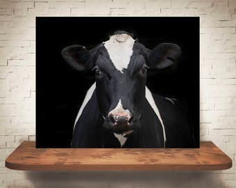 Cow Photograph - Fine Art Print - Color Photography - Wall Art - Home Decor - Wall Decor -  Farm Pictures - Farmhouse Decor - Cows