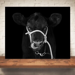 Cow Photograph - Fine Art Print - Black White Photography - Wall Art Decor - Farm Pictures - Farmhouse Decor - Cows - Country