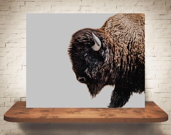 Fotografía de bisonte - Impresión artística - Fotografía en color y blanco y negro - Arte para pared - Decoración de pared - Imágenes del oeste - Decoración de estilo rústico