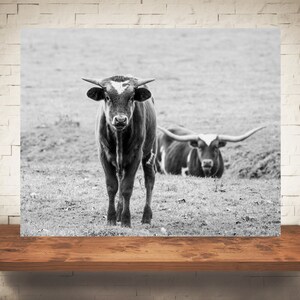 Longhorn Cattle Cow Photograph - Fine Art Print - Black White Photo - Wall Art - Rustic Decor - Pictures of Cows - Farmhouse Decor