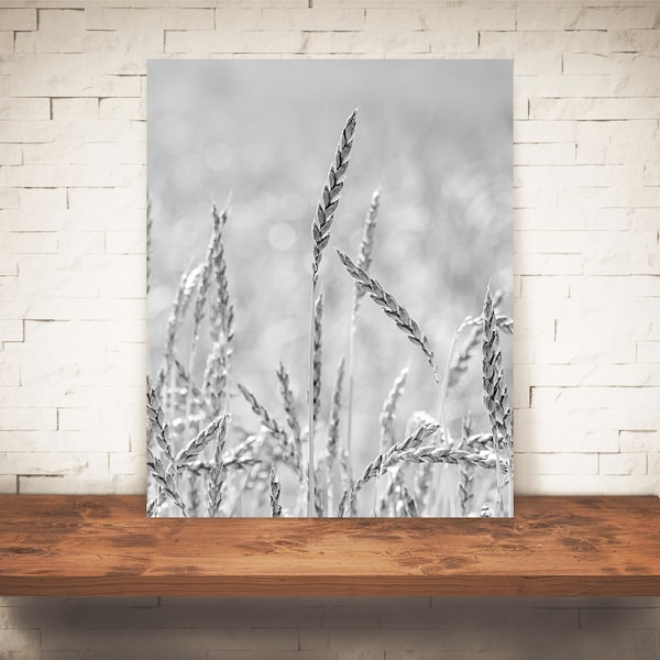 Wheat Photograph - Fine Art Print - Black White Photography - Wall Art - Farm Pictures - Farmhouse Decor - Country - Rustic - Kitchen