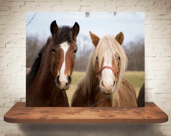 Horse Photograph - Fine Art Print - Color Photography - Equine Wall Art - Wall Decor -  Horse Pictures - Farmhouse Decor - Horses