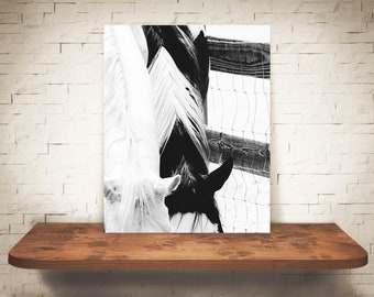Horse Photograph - Fine Art Print - Black White Photography - Equine Wall Art - Wall Decor - Pictures Horses - Farmhouse Decor - Modern