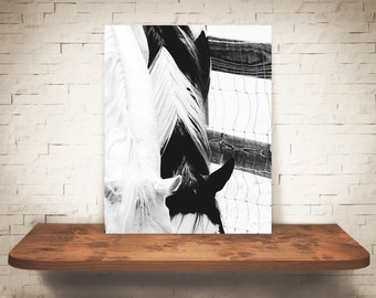 Fotografía de caballo - Impresión de bellas artes - Fotografía en blanco negro - Arte de pared equina - decoración de la pared - imágenes de caballos - decoración de la granja - moderno