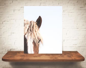 Horse Photograph - Fine Art Print - Color Photography - Equine Wall Art - Wall Decor -  Horse Pictures - Farmhouse Decor - Horses