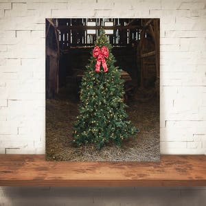 Christmas Tree Photograph - Fine Art Print - Farm Photography - Wall Art - Barn Pictures - Farmhouse Decor - Winter Scene - Holiday Decor