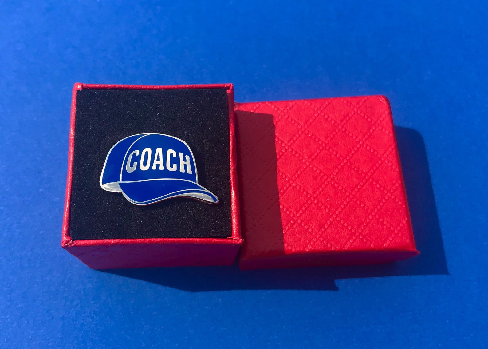 Coach Hat Lapel Pin Coach Pin Coach CadeauNewFast Shipping Etsy