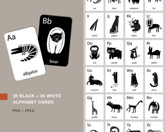 ABC cards for kids Alphabet flashcards PNG Preschool printables Animal alphabet Homeschool Zoo Black and white Education Commercial use