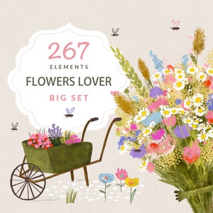 Clipart de primavera Anuncio de nacimiento de bebé Ramo de flores silvestres Plantilla de invitación editable digital Animales para niños hechos a mano Número de cumpleaños PNG