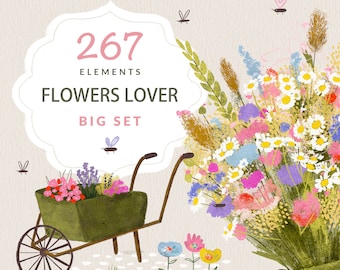 Spring clipart Baby birth announcement Wildflower bouquet Digital editable invitation template Handcrafted kids animals Birthday number PNG