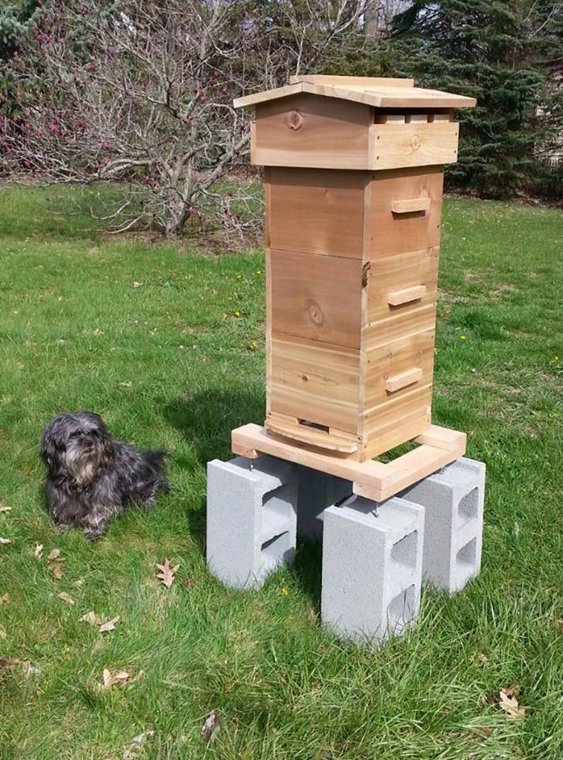 Warre Honey Bee Hive Box with 8 topbars *AOKA Farm* Untreated USA Cedar