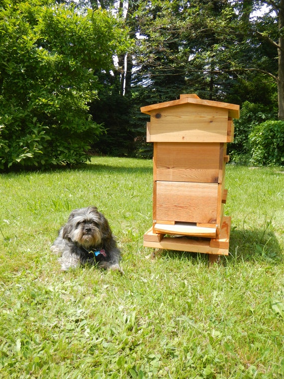 Warre Honey Bee Hive Box with 8 topbars *AOKA Farm* Untreated USA Cedar