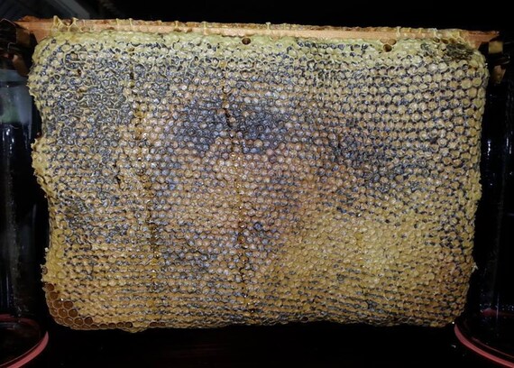 Warre Honey Bee Hive Box with 8 topbars *AOKA Farm* Untreated USA Cedar