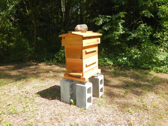Warre Honey Bee Hive Box with 8 topbars *AOKA Farm* Untreated USA Cedar