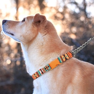 Martingale Dog Collar with Chain, Engraved Dog Collar, Personalized Martingale Collar for Dog Lovers, Custom Boy Dog Collar Girl Monogrammed