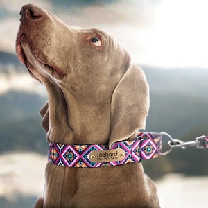 Engraved Martingale Dog Collar, Adjustable Dog Collar Girl, Whippet Collar Martingale, Greyhound Dog Collar Personalized, Boho Puppy Collar