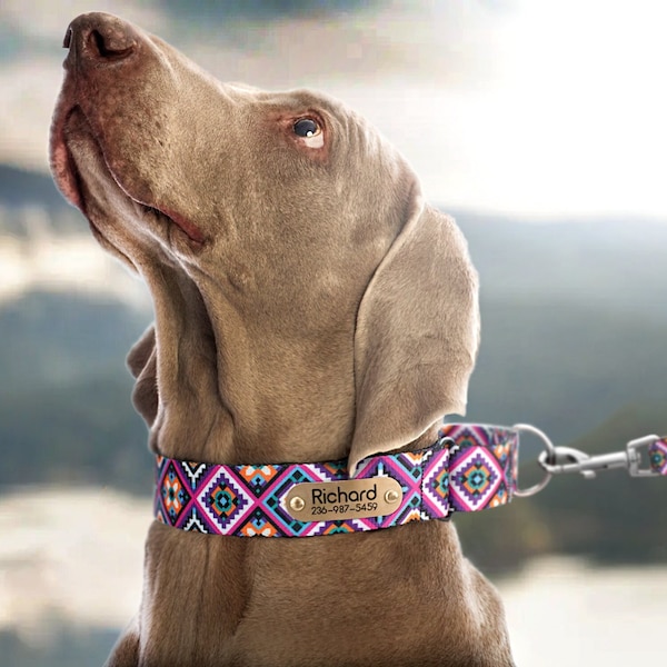 Engraved Martingale Dog Collar, Adjustable Dog Collar Girl, Whippet Collar Martingale, Greyhound Dog Collar Personalized, Boho Puppy Collar