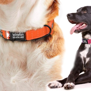 Peut inclure: Deux chiens portant des colliers de chien personnalis&eacute;s. Le premier chien est un chien brun clair et blanc portant un collier orange avec une &eacute;tiquette noire qui dit "Winston 321-654-4821". Le deuxi&egrave;me chien est un chien noir et blanc portant un collier rose avec une &eacute;tiquette noire.