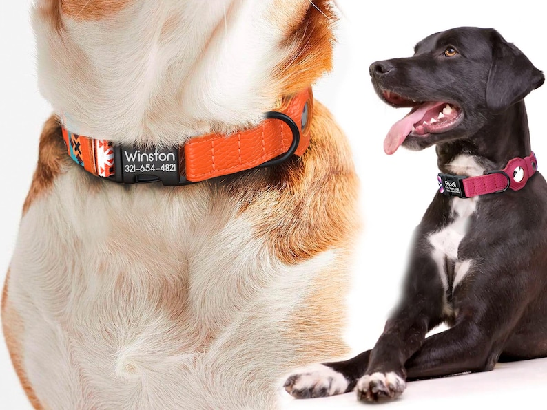 Peut inclure: Deux chiens portant des colliers de chien personnalis&eacute;s. Le premier chien est un chien brun clair et blanc portant un collier orange avec une &eacute;tiquette noire qui dit "Winston 321-654-4821". Le deuxi&egrave;me chien est un chien noir et blanc portant un collier rose avec une &eacute;tiquette noire.