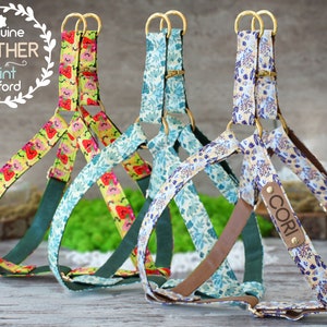 Puede incluir: Tres arneses para perros con correas de tela coloridas y detalles de cuero. Uno presenta un estampado de fresas, otro un patrón floral azul y el tercero un diseño floral crema. Los arneses tienen herrajes metálicos dorados y el texto "genuine LEATHER Print oxford".