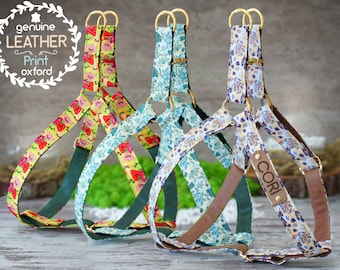 Personalized Dog Harness, Pattern Dog Harness Leather, Custom Dog Harness Leash, Pet Harnesses for Dogs Puppy, Girl Dog Harness Adjustable