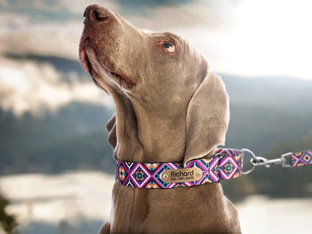 Engraved Martingale Dog Collar, Adjustable Dog Collar Girl, Whippet