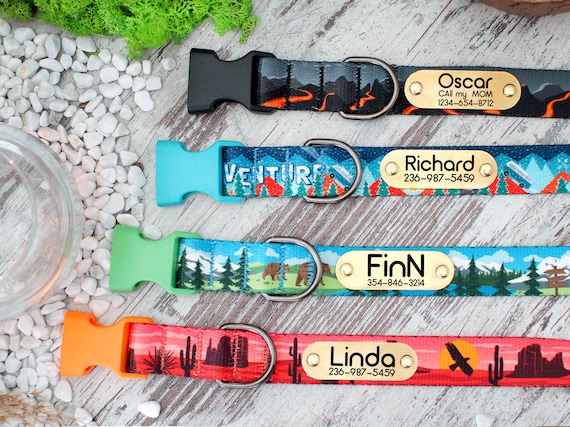 Dog collar etsy hot sale