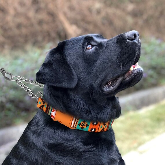 thumbnail image 2 of KONG Padded Comfort Collar For Small Dogs - Adjustable 10-14 Inches - Assorted Colors, Neoprene 2 of 6