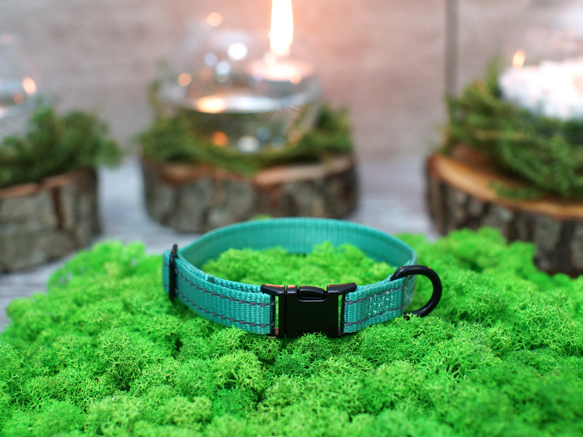 Personalized Cat Collar Custom Cat Collar with Name Kitten Etsy