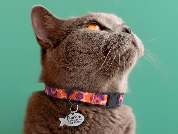 Boy kitten collars 2025