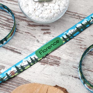 May include: A blue dog collar and leash set with a mountain and forest design. The leash has a green patch with the name "Florence". The collar and leash are on a wooden surface.