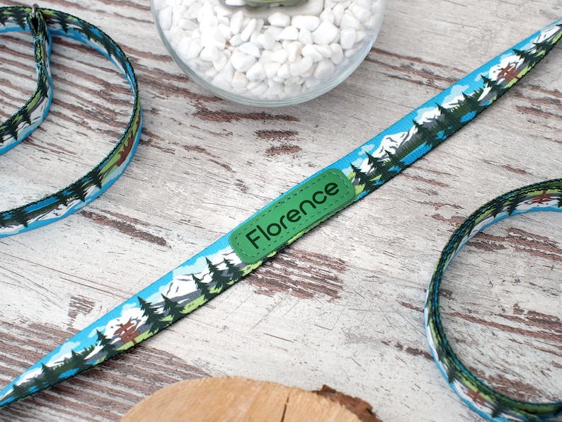 May include: A blue dog collar and leash set with a mountain and forest design. The leash has a green patch with the name "Florence". The collar and leash are on a wooden surface.