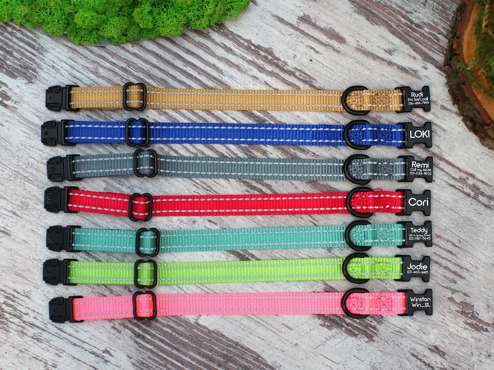 Personalized Cat Collar Custom Cat Collar with Name Kitten Etsy