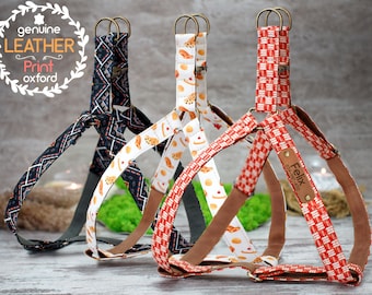 Personalized Dog Harness, Leather Dog Harness and Leash Set, Tribal Dog Harness Aztec, Pattern Dog Harness Designer, Adjustable Dog Harness