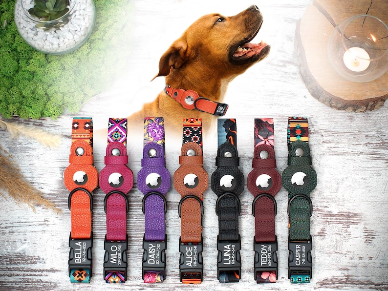 Op de afbeelding: Acht kleurrijke hondenhalsbanden met gepersonaliseerde naamplaatjes. Elke halsband heeft een ander patroon en een andere kleurencombinatie, waaronder oranje, rood, paars, bruin, zwart en groen. De halsbanden hebben een lederachtige afwerking en een metalen gesp.