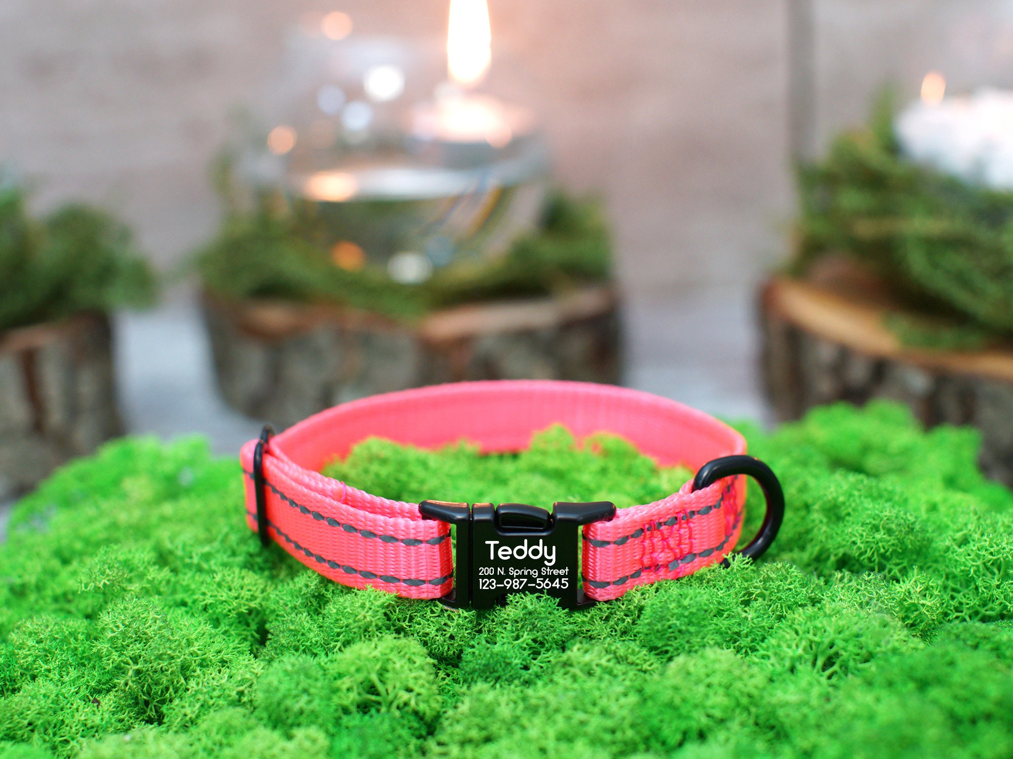 Personalized Cat Collar Custom Cat Collar with Name Kitten Etsy