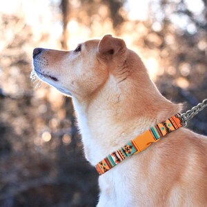 Personalized Martingale Collar with Chain, Custom Pet Collar, Pattern Martingale Dog Collar, Martingale Collar for Dogs, Dog Collar Aztec image 3