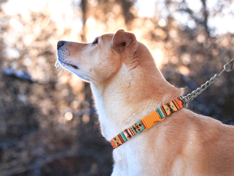Personalized Martingale Collar with Chain, Custom Pet Collar, Pattern Martingale Dog Collar, Martingale Collar for Dogs, Dog Collar Aztec image 3