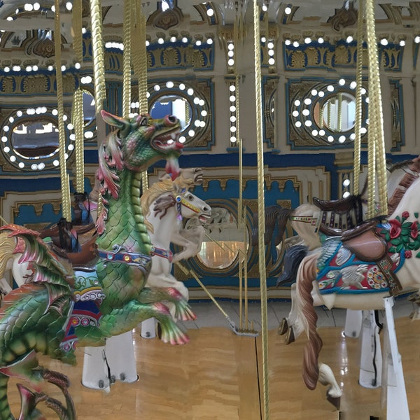 CAROUSEL with The GREEN SEAHORSE