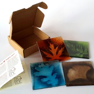 Set of 4 glass coasters " What leaf are you?"  relational play