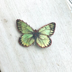 Haarclip groene vlinder, vlinderclip, natuurspeldje, boshaaraccessoire, voor vrouwen, meisjes, peuters, kunstleer snapclip