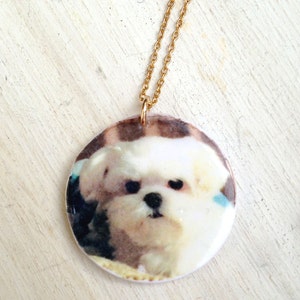 Pet necklace, dog necklace, custom dog necklace, pet photo necklace, dog photo necklace, custom pet necklace, pet memorial necklace, custom image 3