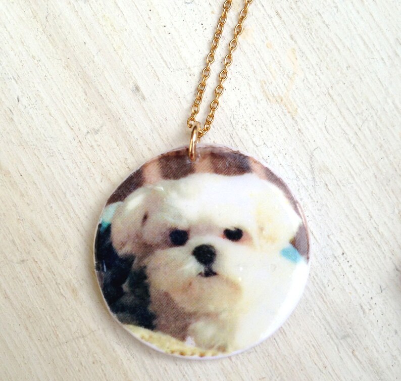 Pet necklace, dog necklace, custom dog necklace, pet photo necklace, dog photo necklace, custom pet necklace, pet memorial necklace, custom image 3