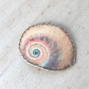 Moon shell snap clip, seashell barrette, seashell hair clip, shark eye shell, beach barrette, beach hair clip, mermaid hair clip, for girls