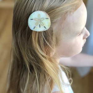 Sand dollar snap clip barrette, sand dollar hair clip, seashell hair clip, for women, girls, toddlers. Beach hair clip, feltie, mermaid clip