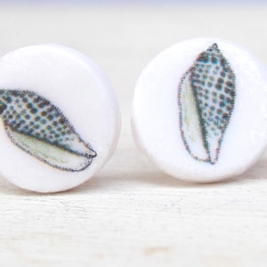 Seashell earrings, shell earrings, seashell stud earrings, shell stud earrings, shell studs, seashell studs, beach earrings, junonia shell