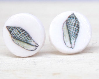 Seashell earrings, shell earrings, seashell stud earrings, shell stud earrings, shell studs, seashell studs, beach earrings, junonia shell