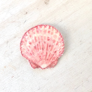 Pink scallop shell snap clip, seashell hair clip, beach barrette, beach photos accessory, mermaid hair clip, thick hair, thin hair