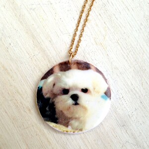 Pet necklace, dog necklace, custom dog necklace, pet photo necklace, dog photo necklace, custom pet necklace, pet memorial necklace, custom image 1