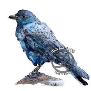 Impression aquarelle corbeau corbeau carte de voeux vierge peinture originale impression d'art brillant mat 5 x 7 8 x 10